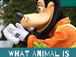 Free for commercial use no attribution required high quality images. Is Goofy A Dog Reelrundown Entertainment