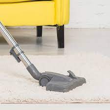 services clean right carpet care