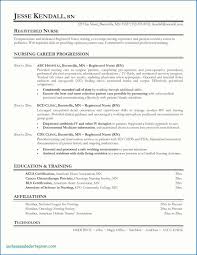 32 Awesome Nursing Student Resume Template Thelifeuncommon Net