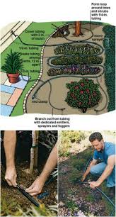 Draw drip emitter line (line with holes in it) wherever you have plants that require water. 16 Cheap And Easy Diy Irrigation Systems For A Self Watering Garden Diy Crafts