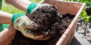 Using Organic Fertilizers In Your