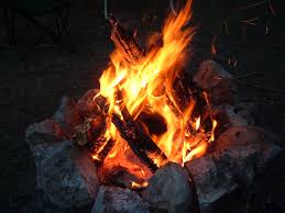 Image result for camp fire in the woods