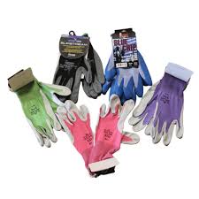 Gloves Allworld Packaging Supplies Ltd
