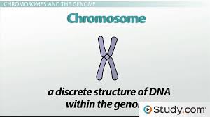 genetics overview traits selection