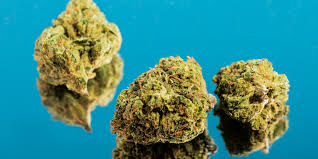 What can i do to get the charges dropped … read more. Here S How Destructive Marijuana Arrests Are Economically In The Us