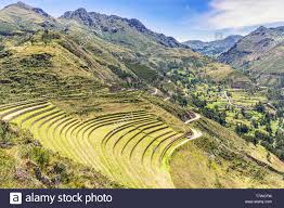 View At The Agriculture Inca Plants Farming Terraces At