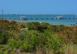 Egmont key is a great day trip if you are staying on the st. Egmont Key Florida