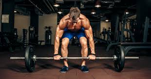 advanced bodybuilder workout muscle