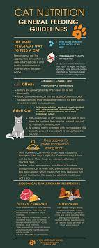 cat nutrition lyons veterinary clinic