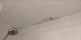 Mold On Bathroom Ceiling How To Clean