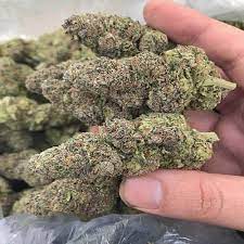 Is Blue Dream Weed Sativa gambar png