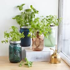 Diy Porch Herb Garden Ideas