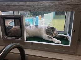 24 Inch Deluxe Kp Cat Window Patio
