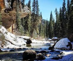 Quand nous sommes arrivés, on nous a. 8 Totally Free Camping Spots In Colorado How To Find More