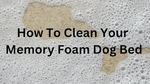 how to clean a memory foam dog bed