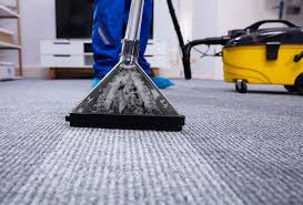 cleaning entrance carpets rinos