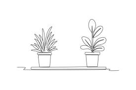 Line Drawing Potted Plants And Flowers