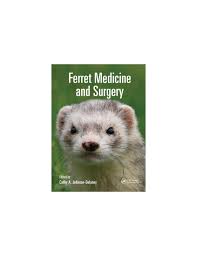 Both animals belong to the weasel family and will share some characteristics as expected. Ferret Medicine And Surgery