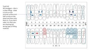 Dental Charting Ppt Download