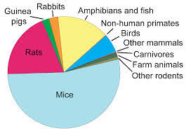Pie Chart Animal Testing