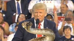 The Snake: Donald Trump Tells it Like it Isn't | The Contrary Perspective
