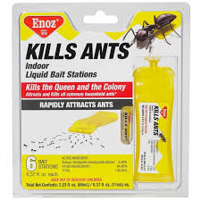 Rub some lemon juice on door thresholds, windowsills and other possible areas where ants are getting in. How To Get Rid Of Ants In My Kitchen Quora