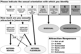 Identifying Basic Classes of Sexual Orientation with Latent Profile  Analysis: Developing the Multivariate Sexual Orientation Classification  System | SpringerLink