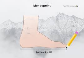 64 Unexpected Ski Boot Last Size Chart