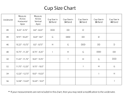 Bra And Cup Size Chart 2019