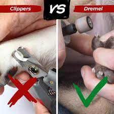 nail clippers vs dremel which is