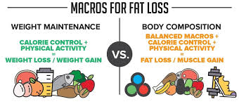 the best macros for weight loss