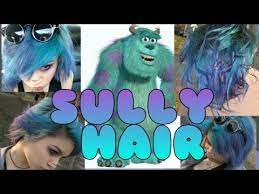 how to dye sully from monsters inc hair