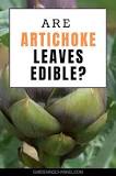 What part of the artichoke is poisonous?
