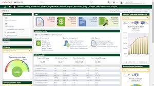 Nonprofit Accounting Financial Management Software Netsuite