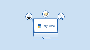 tally software services tss features