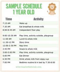 16 Best 1 Year Old Schedule Images In 2019 Toddler