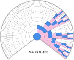 Male X Dna Inheritance Chart Thegeneticgenealogist Com Dna