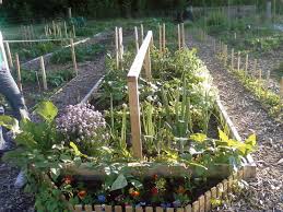 community gardens as essential food