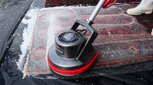 the 1 area rug cleaning in deltona fl