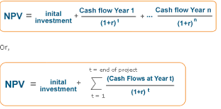 How To Calculate Npv In Rational Portfolio Manager