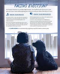 Adopt a loving pet from pets without animal shelters and rescues similar to pets without partners offer temporary places for pets that. Facing Eviction Don T Panic Humanepro By The Humane Society Of The United States