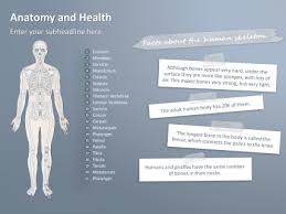 Free Anatomy Powerpoint Templates Powerpoint Template Free