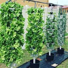 Vertical Hydroponics The What Why And