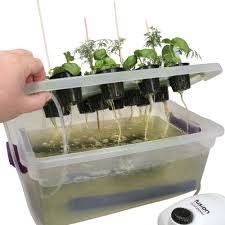 visual desktop hydroponics kit