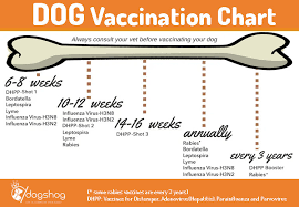 Dog Vaccinations Chart Puppy Shots Schedule Dog Rabies