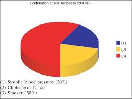 The Above Pie Chart Shows Contribution Of Individual Risk