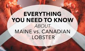 maine vs canadian lobster
