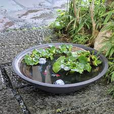 fish pond container water gardens