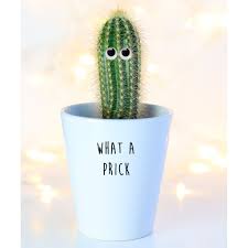 It's the old swinging cactus photo. What A Prick Funny Cactus Plant Pot Houseplant Gift Mrs Bee S Emporium