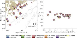Pseudo Nitzschia Bloom Dynamics In The Gulf Of Maine 2012